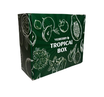 Vioberry- Tropical Box