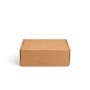 cutii din carton 230X120X100