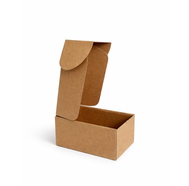 cutii din carton 230X120X100