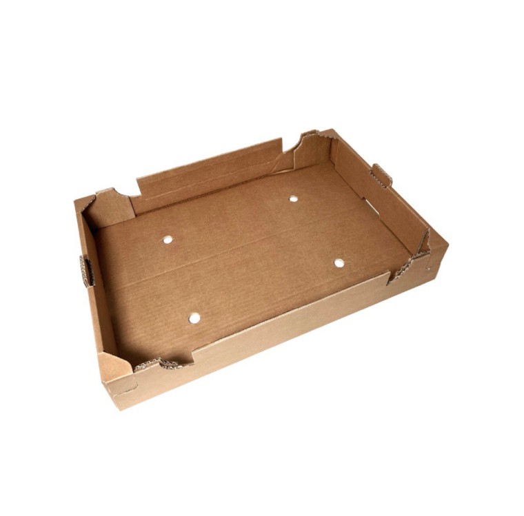 Tava p-u fructe si legume fara tipar 576X386X90