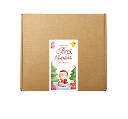 Eticheta 5X10 cm "Wishing you a Merry Christmas" 