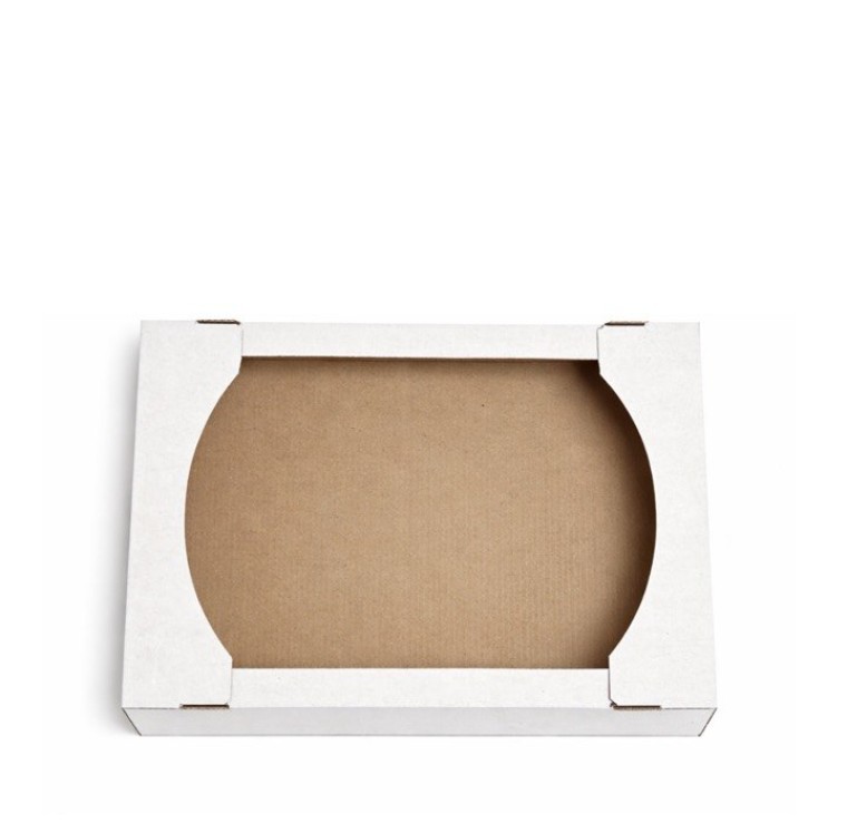 cutii din carton 290X190X55